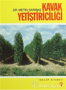 Kavak Yetiştiriciliği resmi