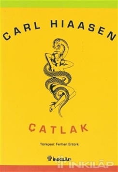 Çatlak resmi