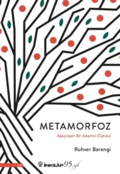 Metamorfoz resmi