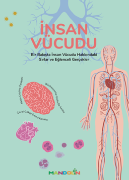 İnsan Vücudu resmi