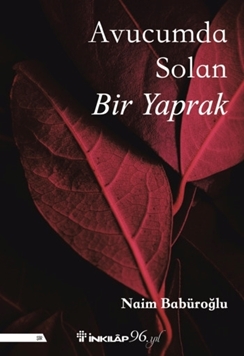 Avucumda Solan Bir Yaprak resmi