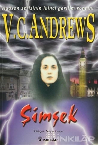 Şimşek resmi Şimşek