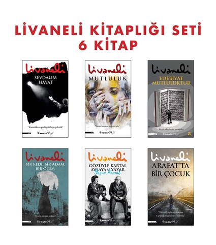ZÜLFÜ LİVANELİ 6 KİTAP SET-4 resmi