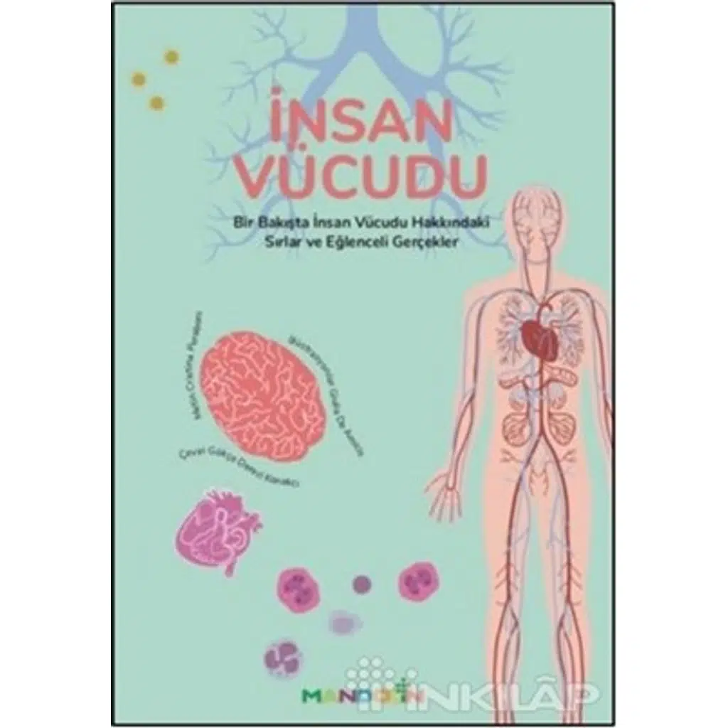 İnsan Vücudu | Cristina Peraboni