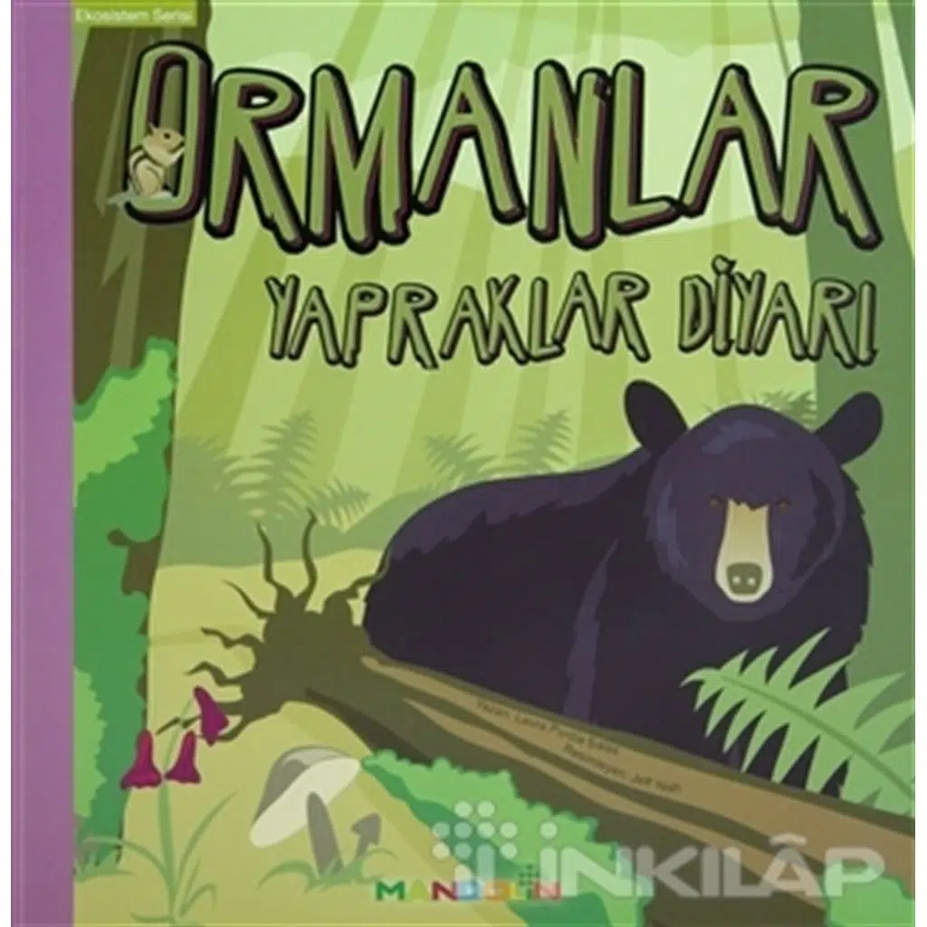 Ormanlar - Yapraklar Diyarı - Ekosistem Serisi | Laura Purdie Salas Ormanlar - Yapraklar Diyarı - Ekosistem Serisi | Laura Purdie Salas